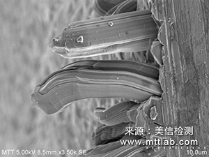錫須觀察與測(cè)量