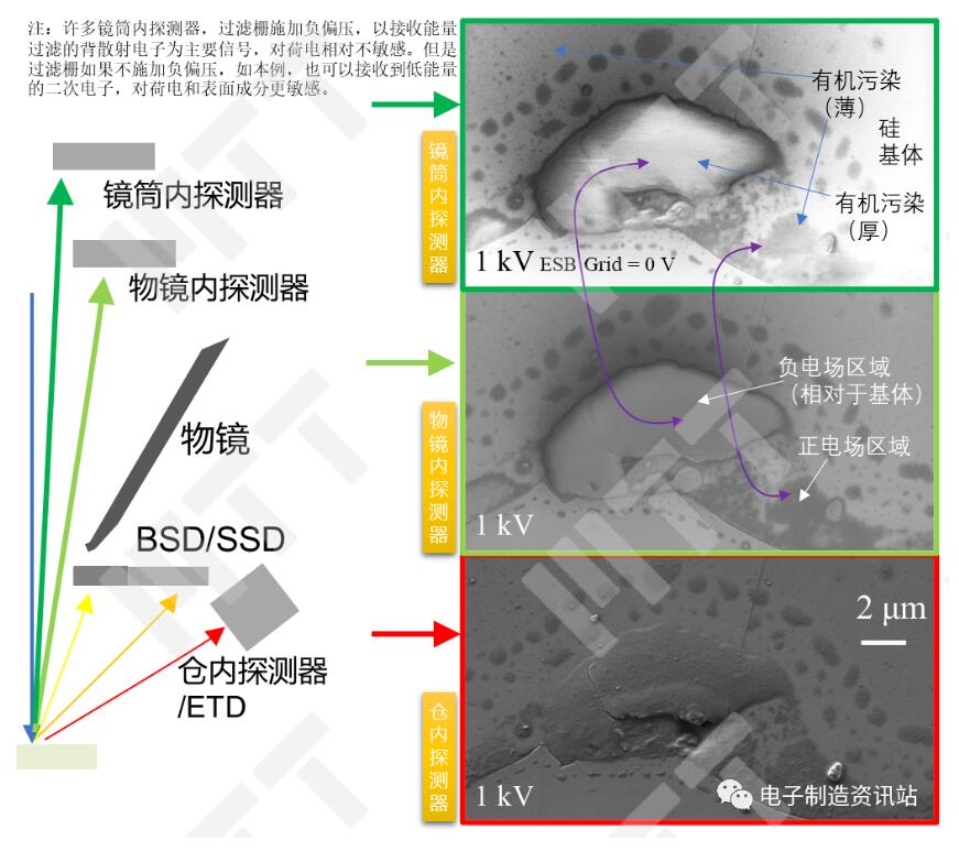 不同探測器對電位/荷電襯度反映的實例