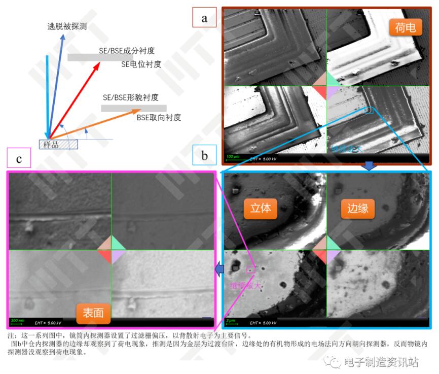 不同探測器在中高放大倍數(shù)時的表現(xiàn)
