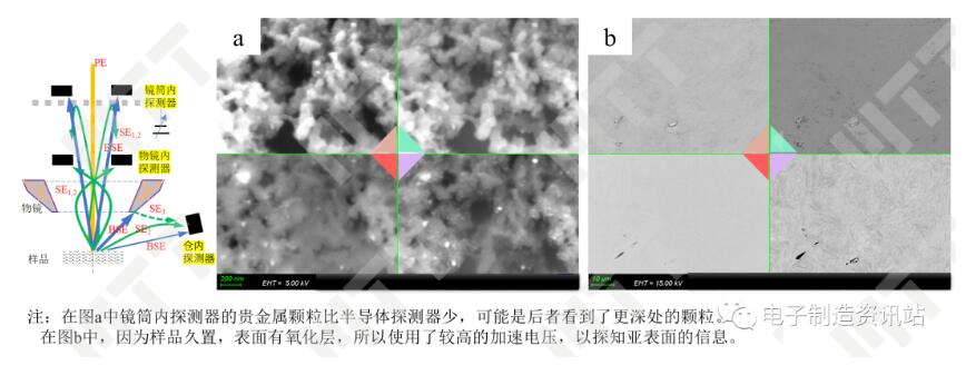 不同探測器在形貌、成分和取向上的表現(xiàn)